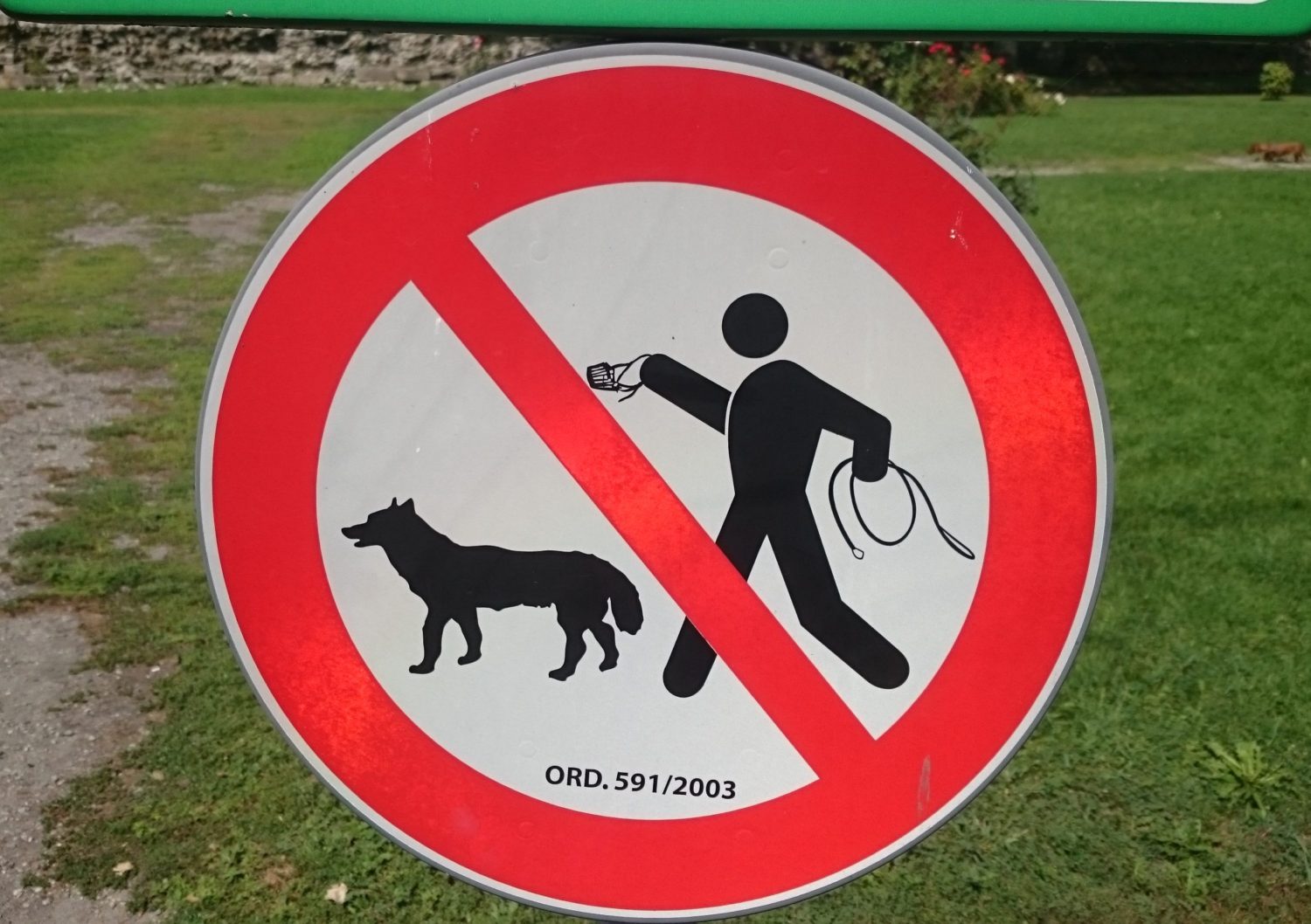 Image of Local Italian Sign about dog leash rules