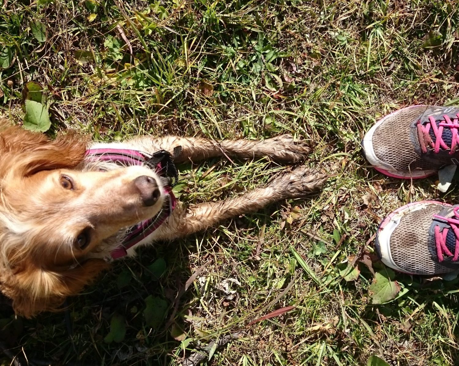 Image of Annie Dog and I on our travels. Both with muddy feet